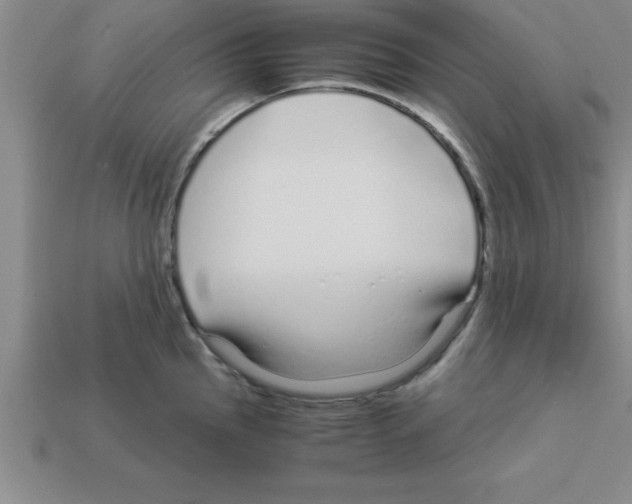 X0000112881145200910021348