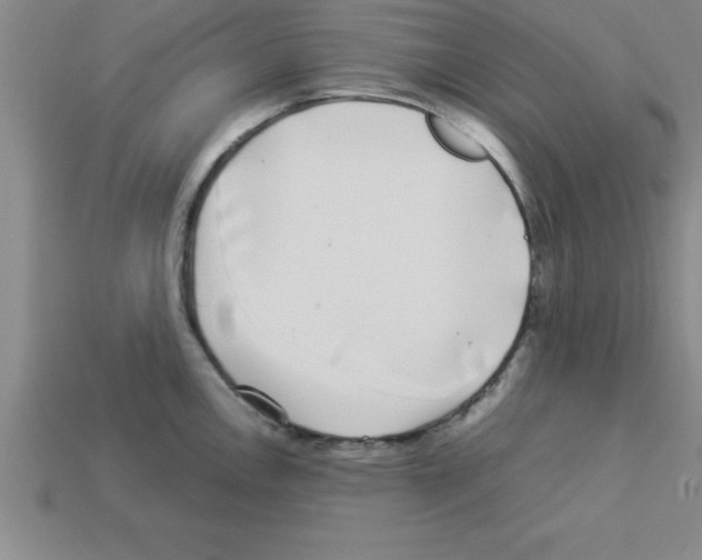 X0000112881146200910021348