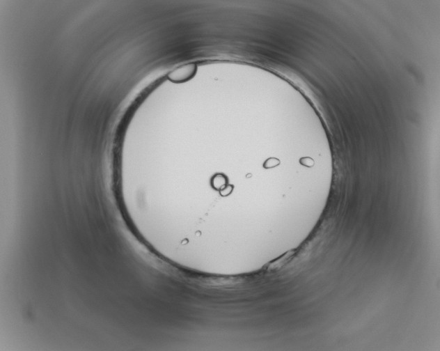 X0000112881147200910021348