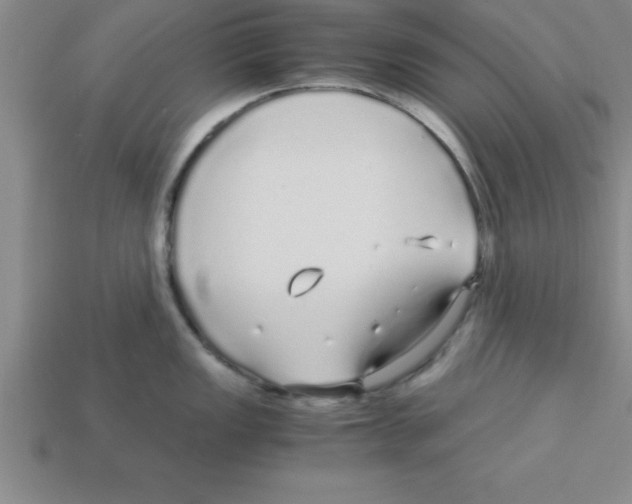 X0000112881149200910021348