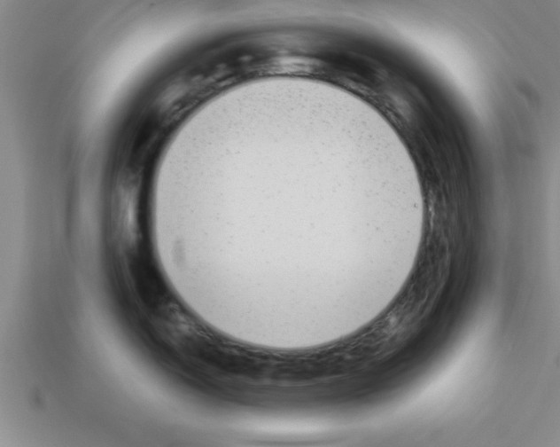 X0000112881150200910021348