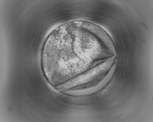 X0000112881151200910021348