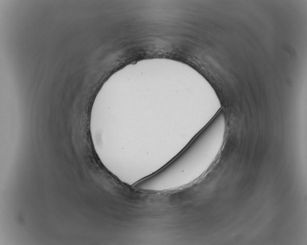 X0000112881153200910021347