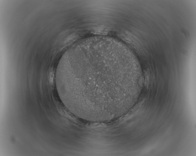 X0000112881154200910021347