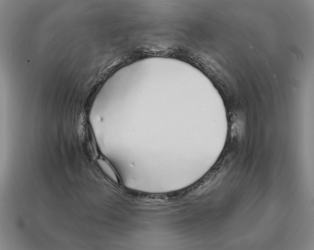 X0000112881156200910021347