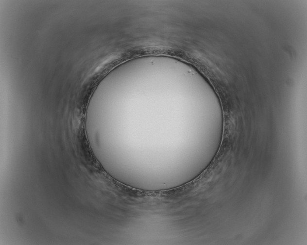 X0000112881157200910021347