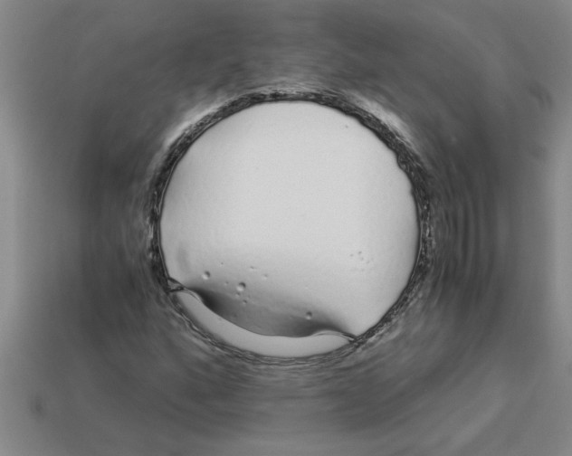 X0000112881160200910021347