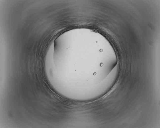 X0000112881161200910021347