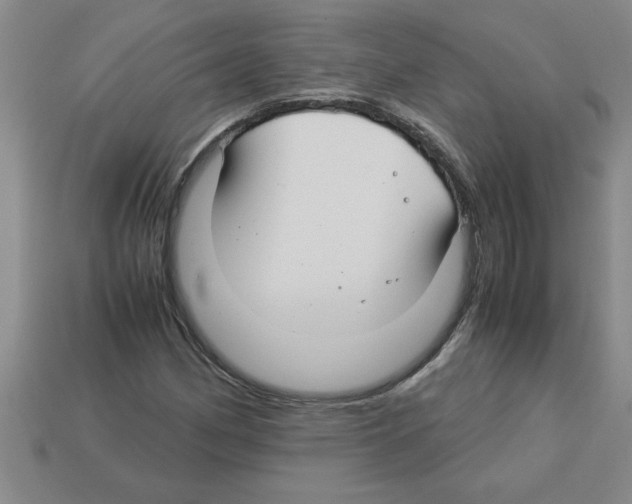 X0000112881162200910021347