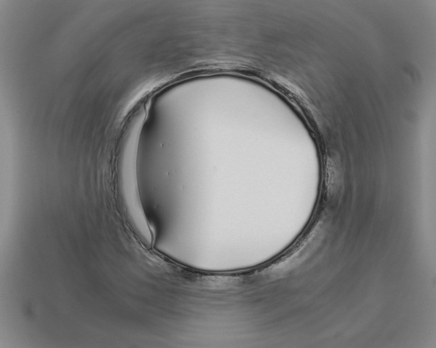 X0000112881163200910021347