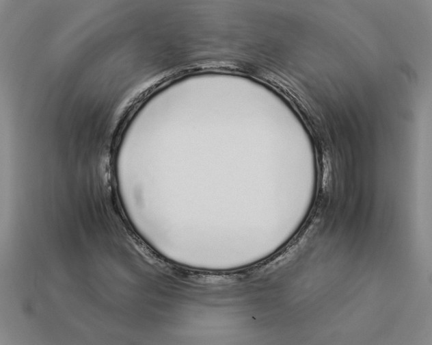 X0000112881164200910021347