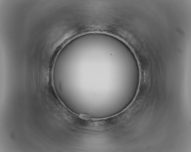 X0000112881165200910021347