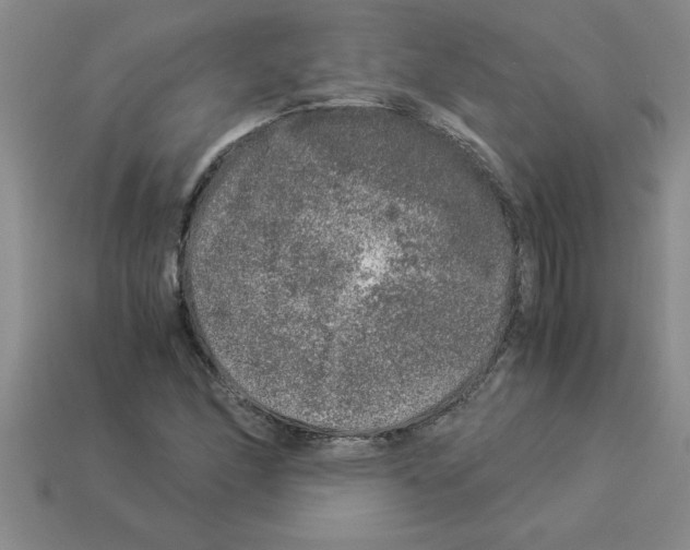 X0000112881166200910021347