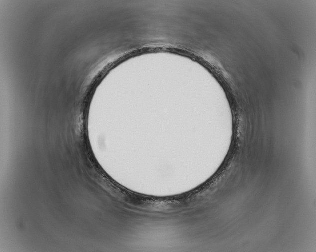 X0000112881167200910021347