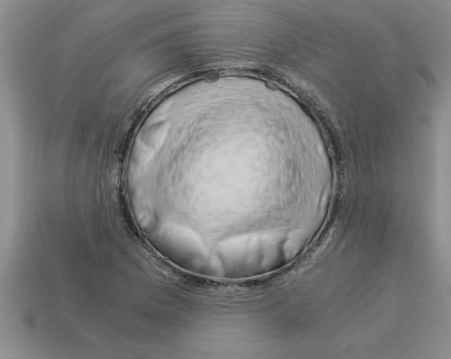 X0000112881169200910021347