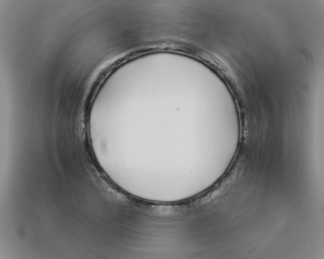 X0000112881172200910021347