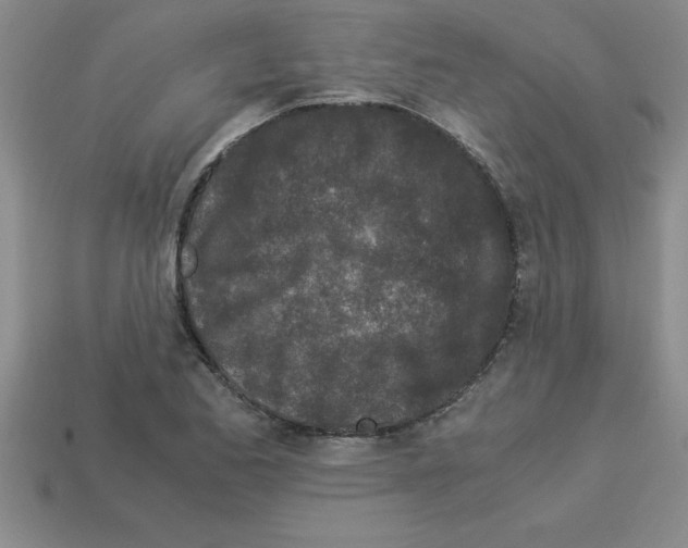 X0000112881173200910021347