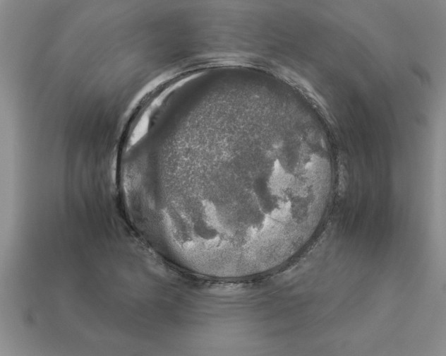 X0000112881174200910021347