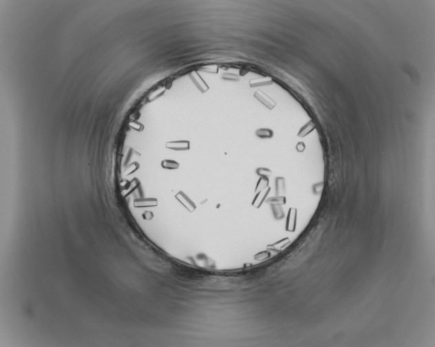 X0000112881179200910021347