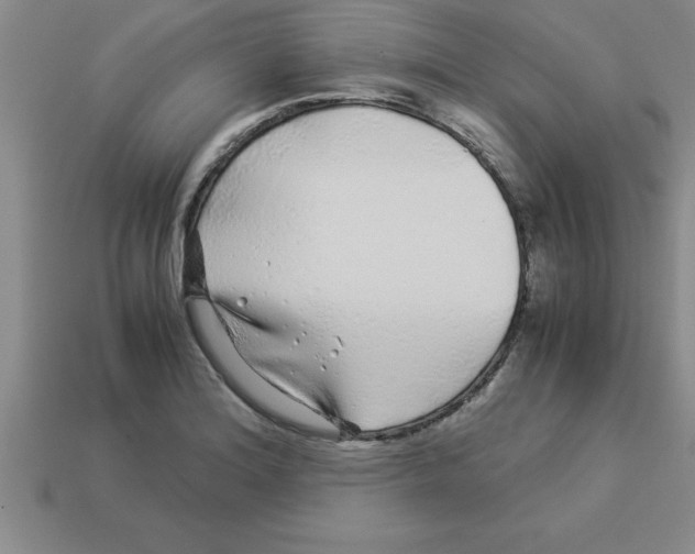 X0000112881180200910021347