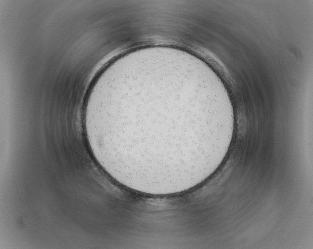 X0000112881182200910021347