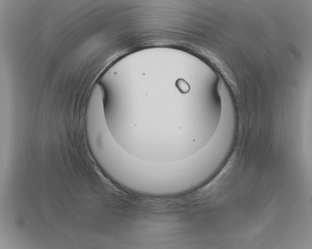 X0000112881185200910021347