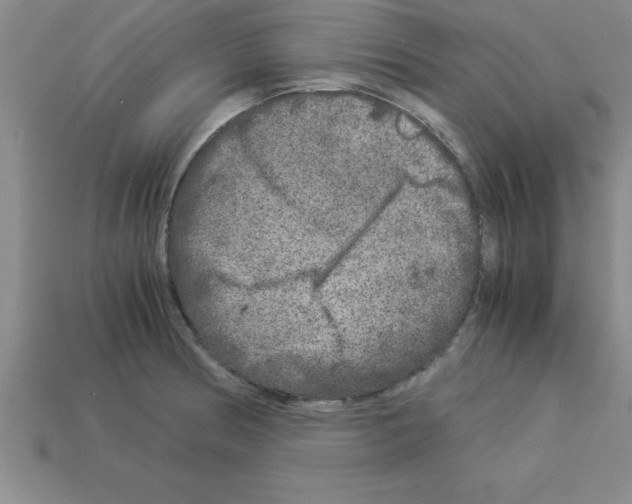 X0000112881186200910021347