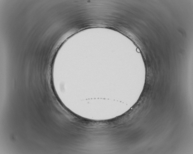 X0000112881187200910021347