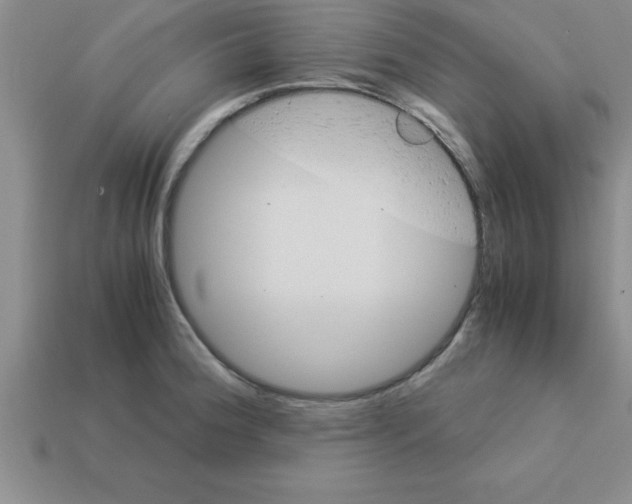 X0000112881188200910021347