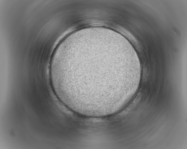 X0000112881190200910021347