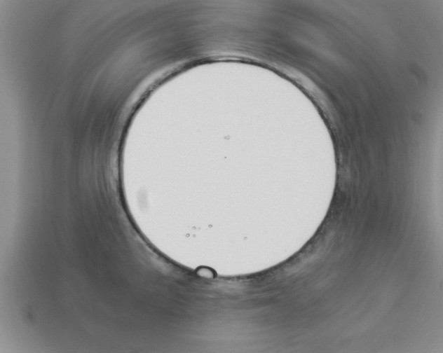 X0000112881191200910021347