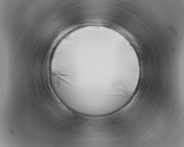 X0000112881192200910021347