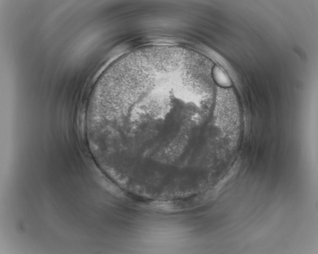 X0000112881194200910021347