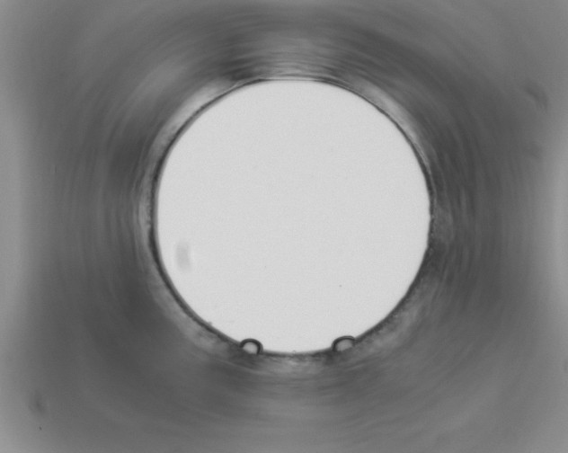 X0000112881195200910021347