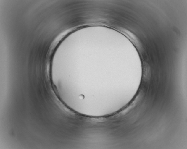 X0000112881196200910021347