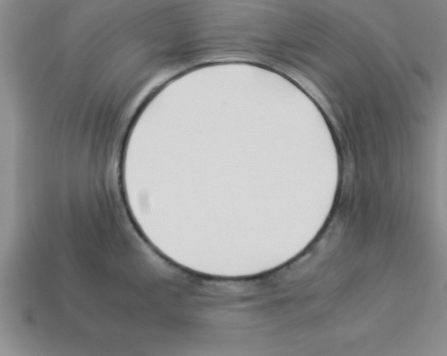 X0000112881197200910021347