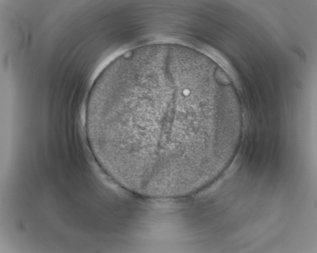 X0000112881198200910021347