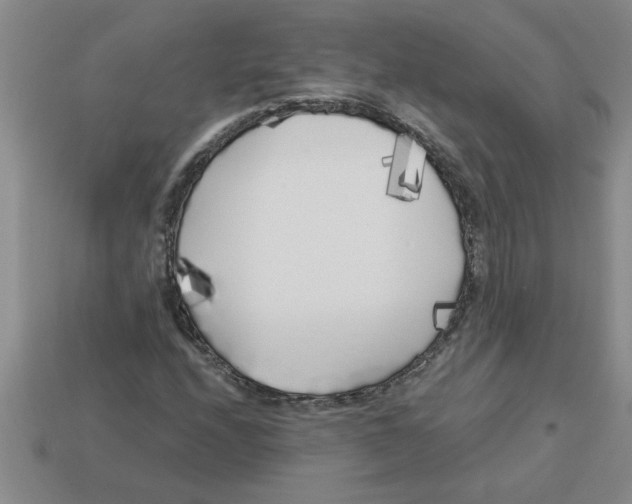 X0000112881208200910021346