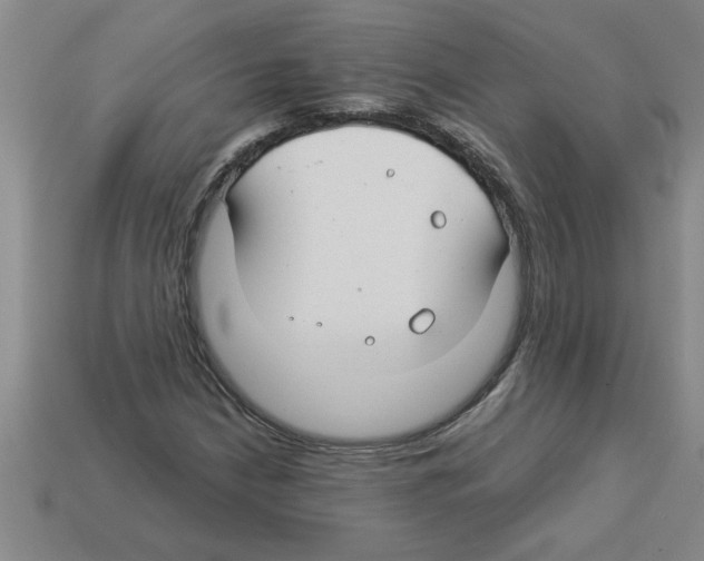 X0000112881210200910021346