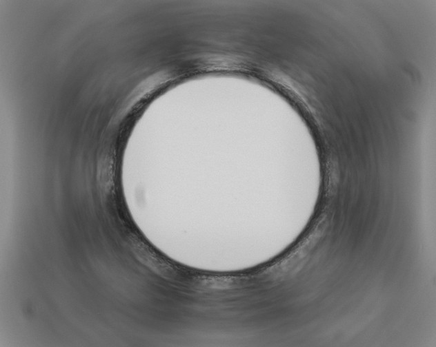 X0000112881211200910021346