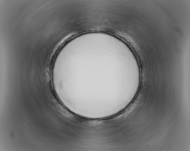 X0000112881212200910021346