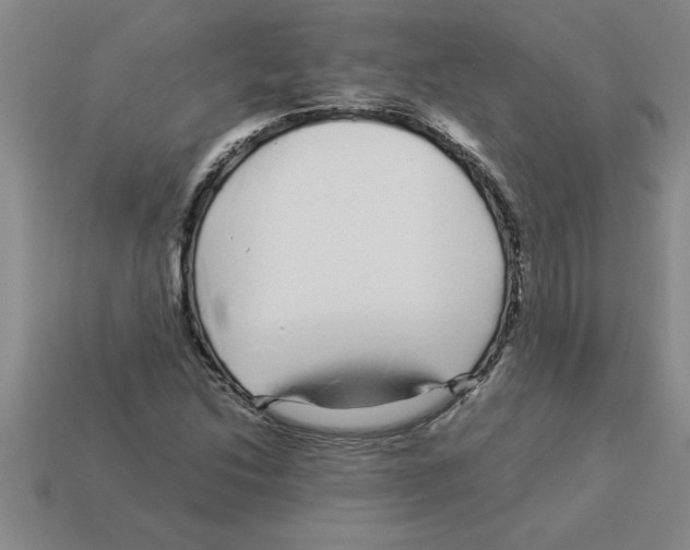 X0000112881214200910021346