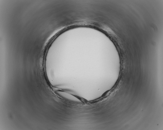 X0000112881216200910021346