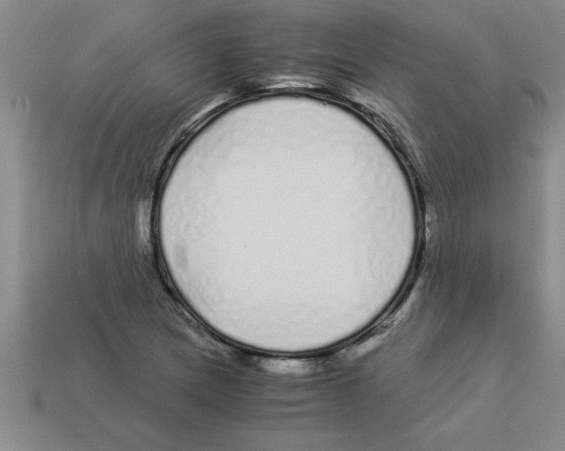 X0000112881217200910021346