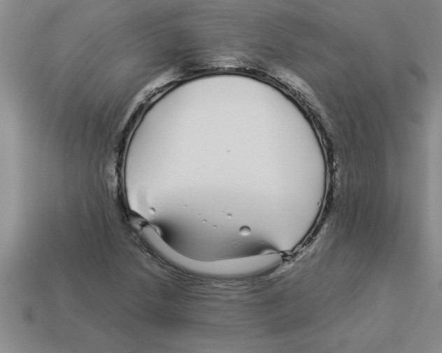 X0000112881218200910021346