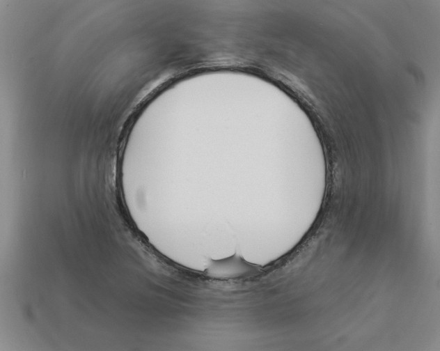 X0000112881220200910021346