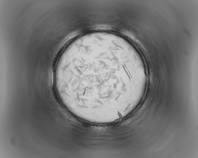 X0000112881221200910021346