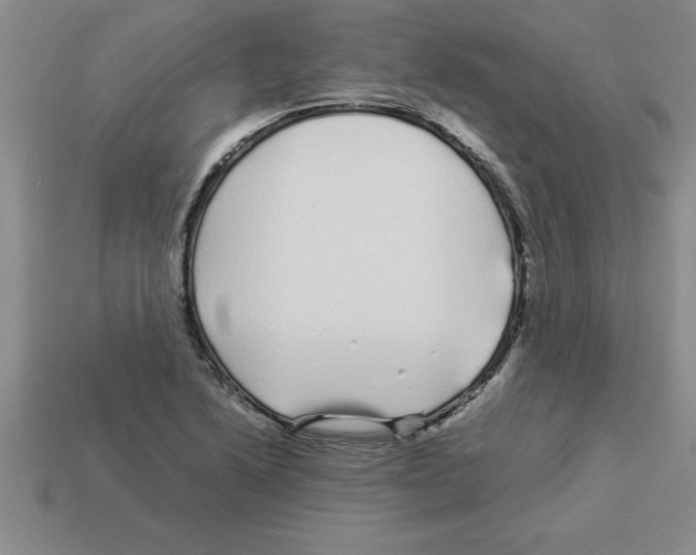 X0000112881222200910021346