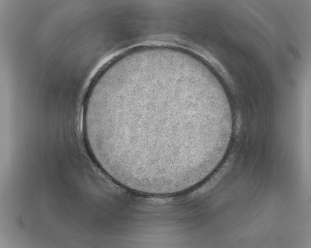 X0000112881224200910021346