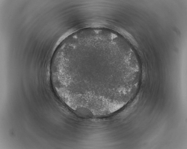 X0000112881226200910021347